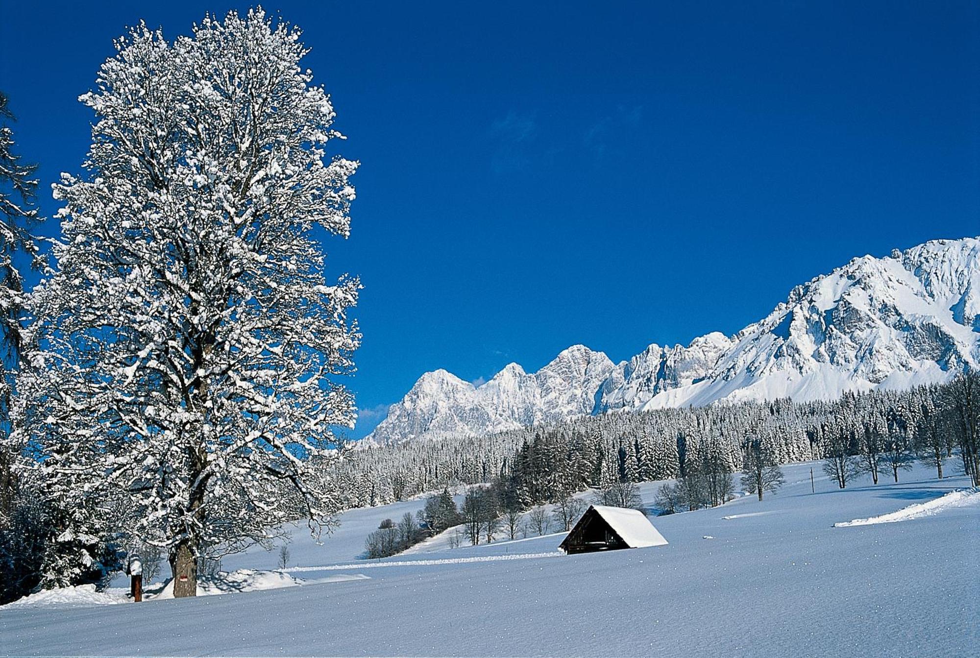Hotel Matschner Ramsau am Dachstein Bagian luar foto